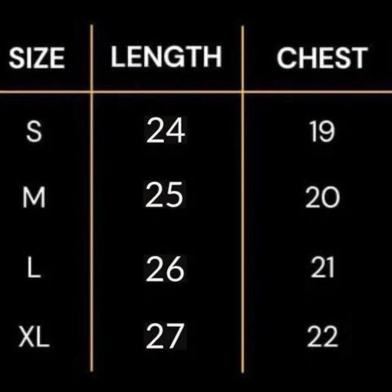 Polyester Plain T-Shirt, Pack of 2